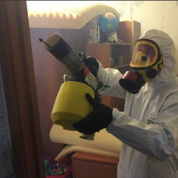 Уничтожение клопов в квартире. Сарапул